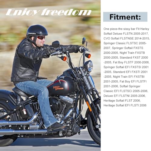 Gamyipp Adjustable One-Piece Sissy Bar Passenger Backrest with Lock for Harley Softail Deluxe FatBoy 2000-2017 (One-Piece-Black)